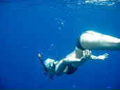 Ja Ne фотография #27 (источник - https://vk.com/id146059)