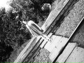 Фотография Schröder Oksana