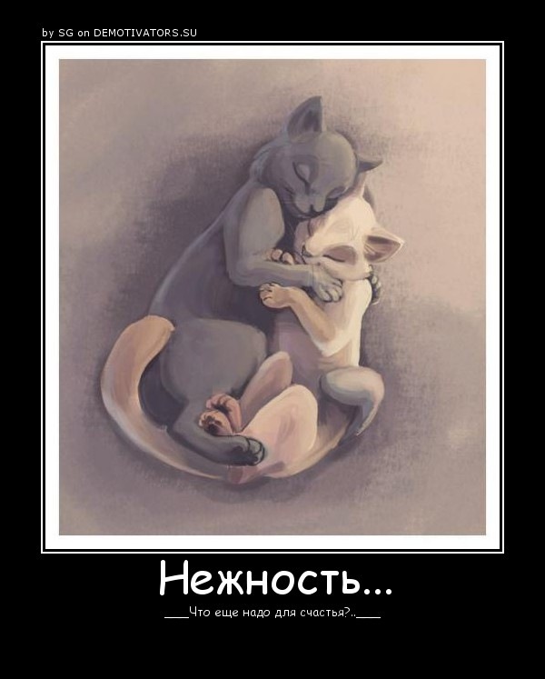 Та Самая фотография #43