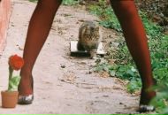 Фотография Сосновской Дарьи