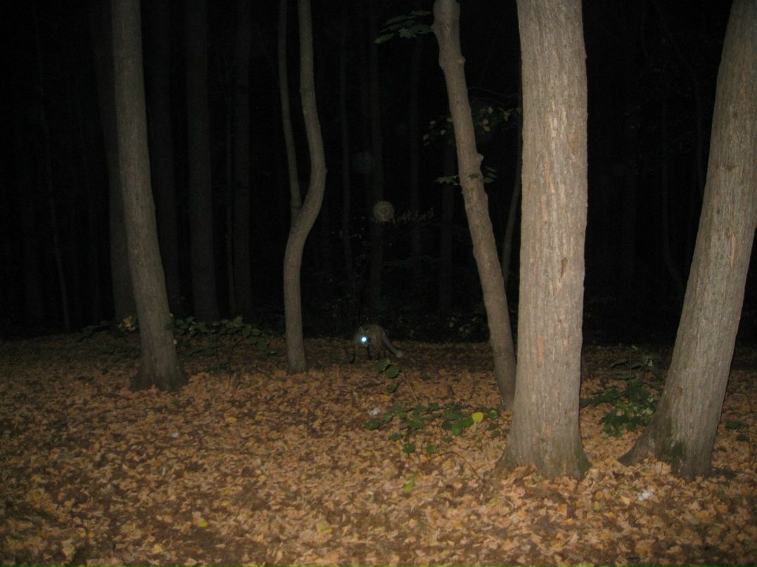 Rope Jumping фотография #12