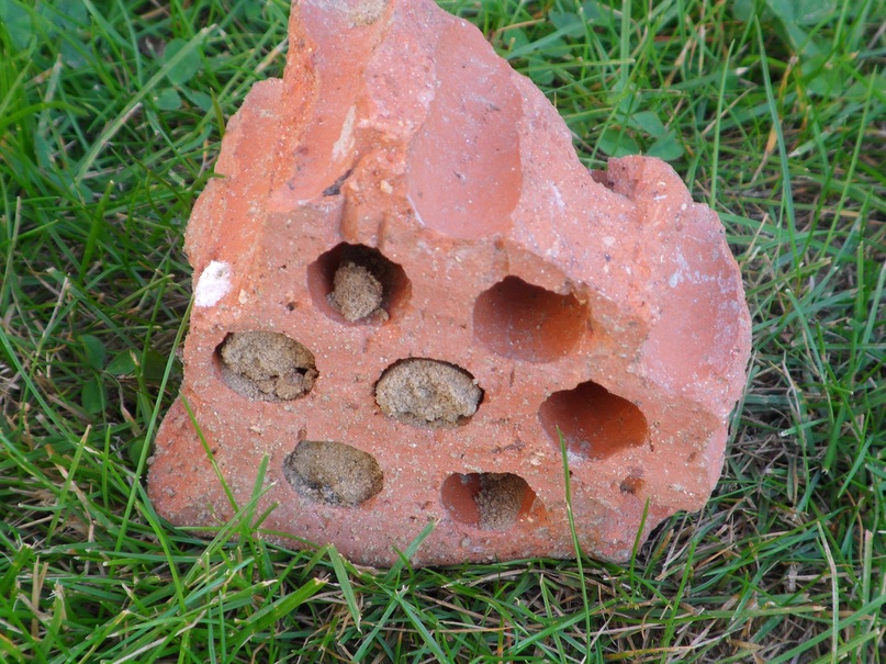 Оля Фёдорова фотография #42