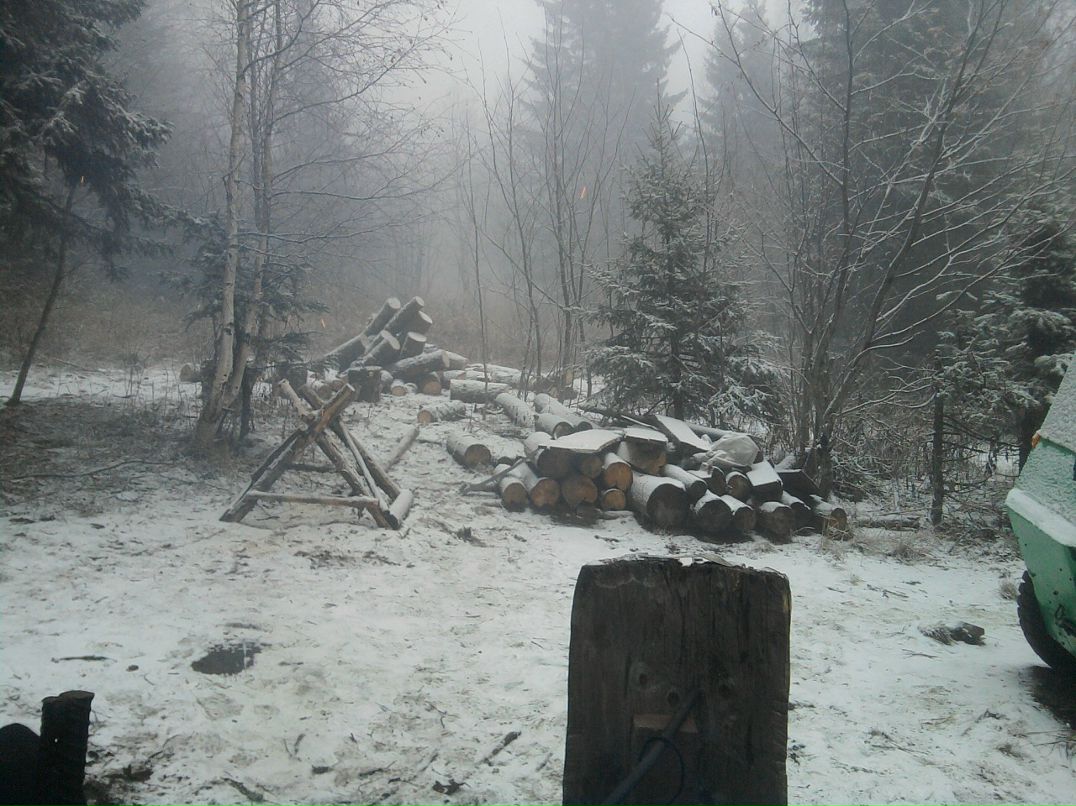 Павел Синицын фотография #50