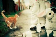 Фотография Алиной Алины