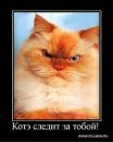 Фотография Захаровой Юлии