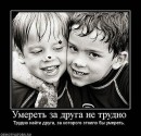 Вікторія Фофанова фотография #45 (источник - https://vk.com/id37197168)