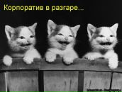 Фотография Белянской Светланы