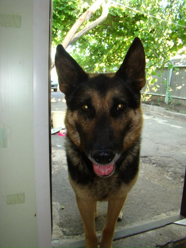 Дмитрий Корыстин фотография #14