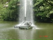 Дмитрий Ерохин фотография #33 (источник - https://vk.com/id77308762)