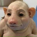 Фотография Киселева Виктора