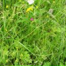 Фотография Бородулина Андрея