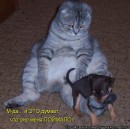 Иришка Венцова фотография #20 (источник - https://vk.com/id4664078)