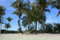 Фотография Зауэр Евгении