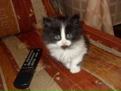 Фотография Ераносовой Юлии