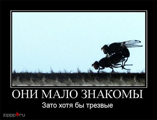 Андрій Сидлярук фотография #17