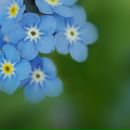 Фотография Сенёв Андрей