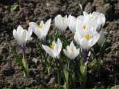 Фотография Недоливко Татьяны