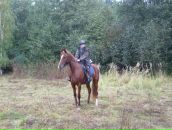 Фотография Шукуровой Веры