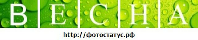 Віталій Плакса фотография #44 (источник - https://vk.com/id22227910)