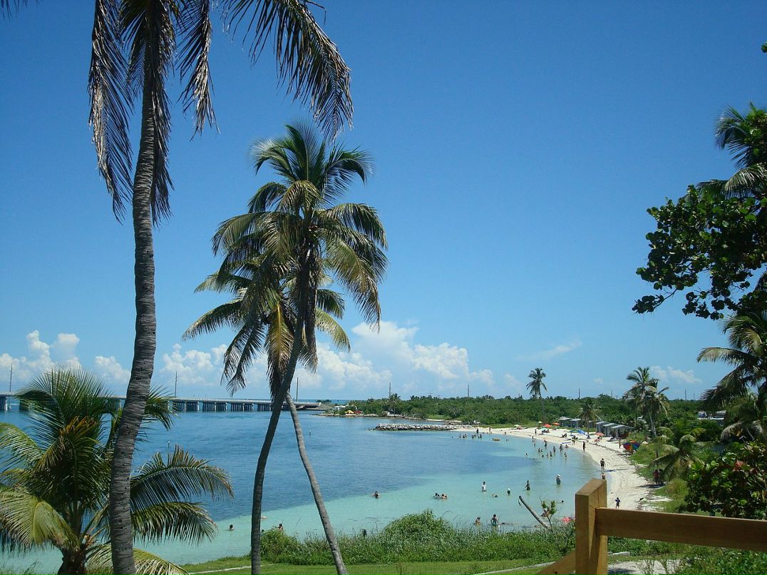 Александр Нетепенко фотография #19