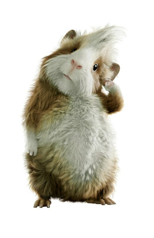 Дмитрий Михейкин фотография #37