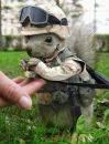 Ігор Костецький фотография #30 (источник - https://vk.com/id210233497)
