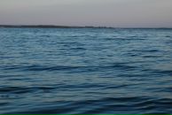 Фотография Супониной Ольги