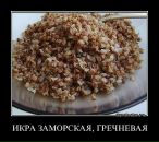 Міша Лобоцький фотография #26 (источник - https://vk.com/id21356970)