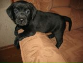 Фотография Волковой Марины