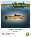 Максім Гончар фотография #39 (источник - https://vk.com/id48824433)