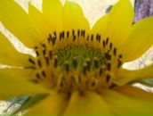 Фотография Проць Оксаны