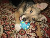 Фотография Портновой Кристины