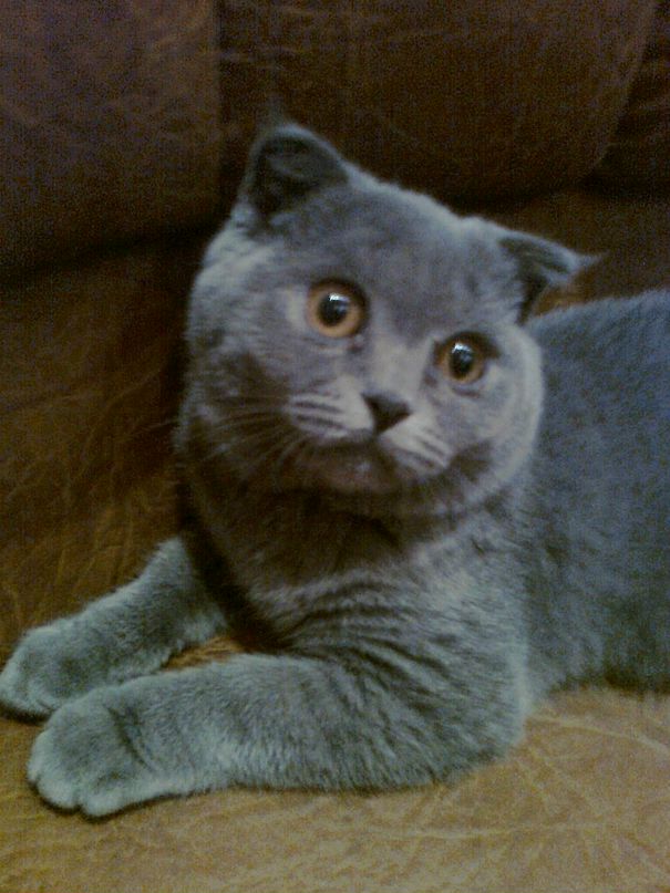 Марина Ермоченко фотография #10