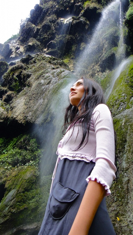 Silver Grass фотография #1