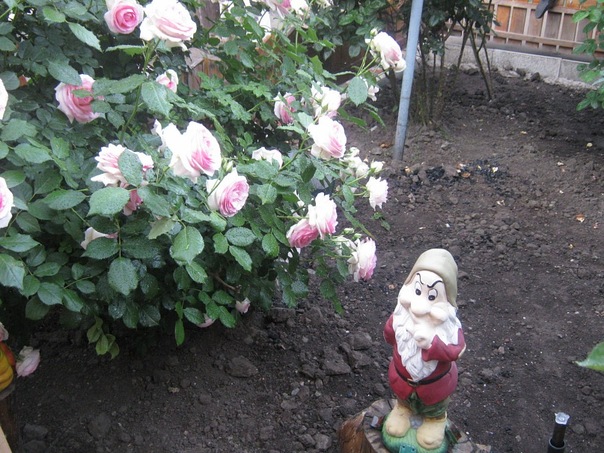 Рит@ С@идов@ фото №21
