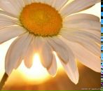 Фотография Курышовой Наташи