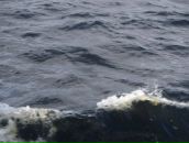 Фотография Юницкой Ирины