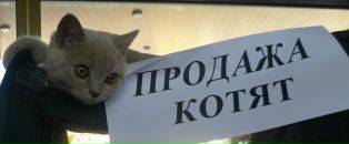 Виктор Логвин фотография #15 (источник - https://vk.com/id1749928)