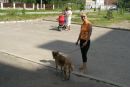 Наталія Сохан фотография #27 (источник - https://vk.com/id137660639)