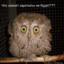 Віталік Пуйта фотография #40 (источник - https://vk.com/id27730382)