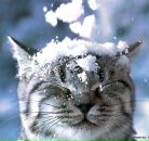 Фотография Даниловой Танечки