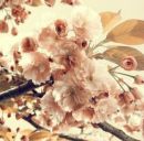 Марія Заліська фотография #21 (источник - https://vk.com/id145030148)