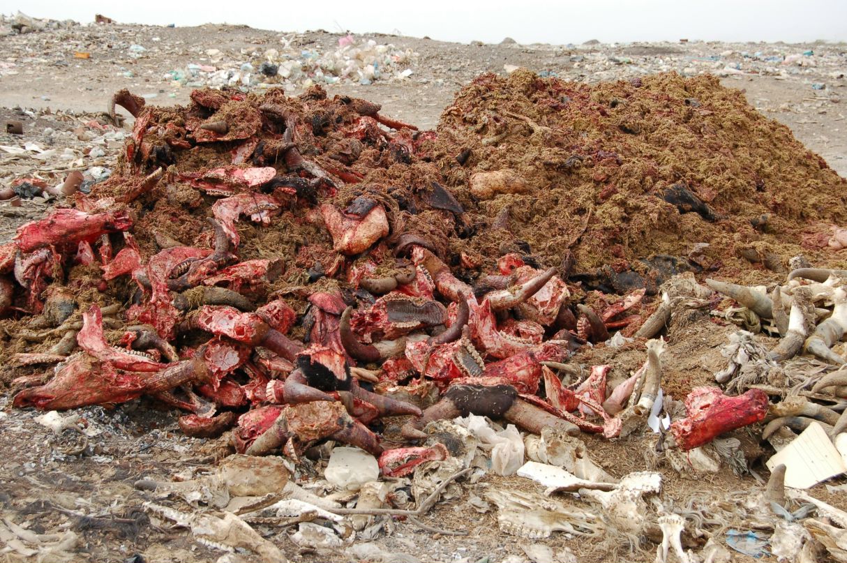 Евгений Снежко фотография #42