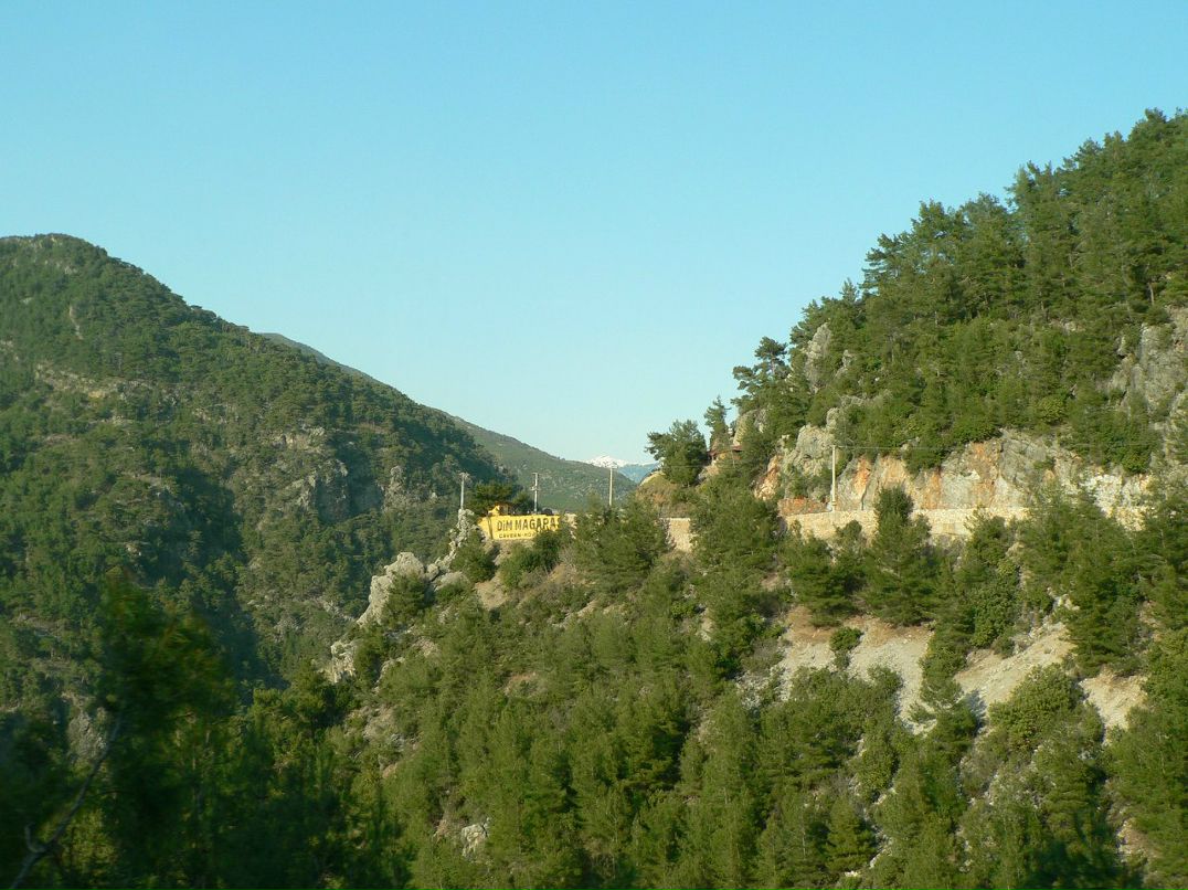 Иван Гор фотография #22