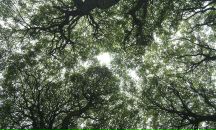 Фотография Korotkov Igor