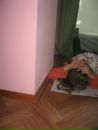 Настя Скіпчак фотография #12 (источник - https://vk.com/id137213162)