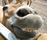 Фотография Батаева Артура