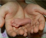 Фотография Дудниковой Тани