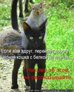 Ярослав Матіяш фотография #22 (источник - https://vk.com/id109284434)