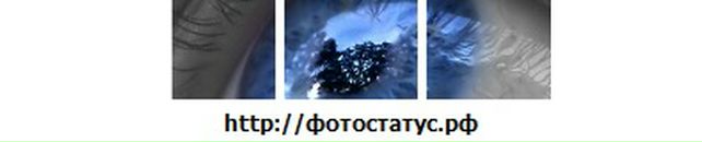 Антон Буревич фотография #47 (источник - https://vk.com/id68283468)